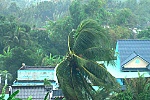 Bão số 9 suy yếu thành áp thấp nhiệt đới