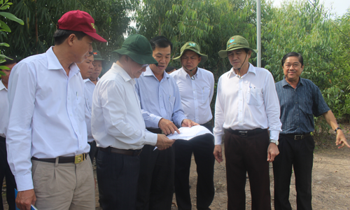 Thường trực UBND tỉnh đến khảo sát tại khu đất công tại xã Mỹ Phước, huyện Tân Phước.