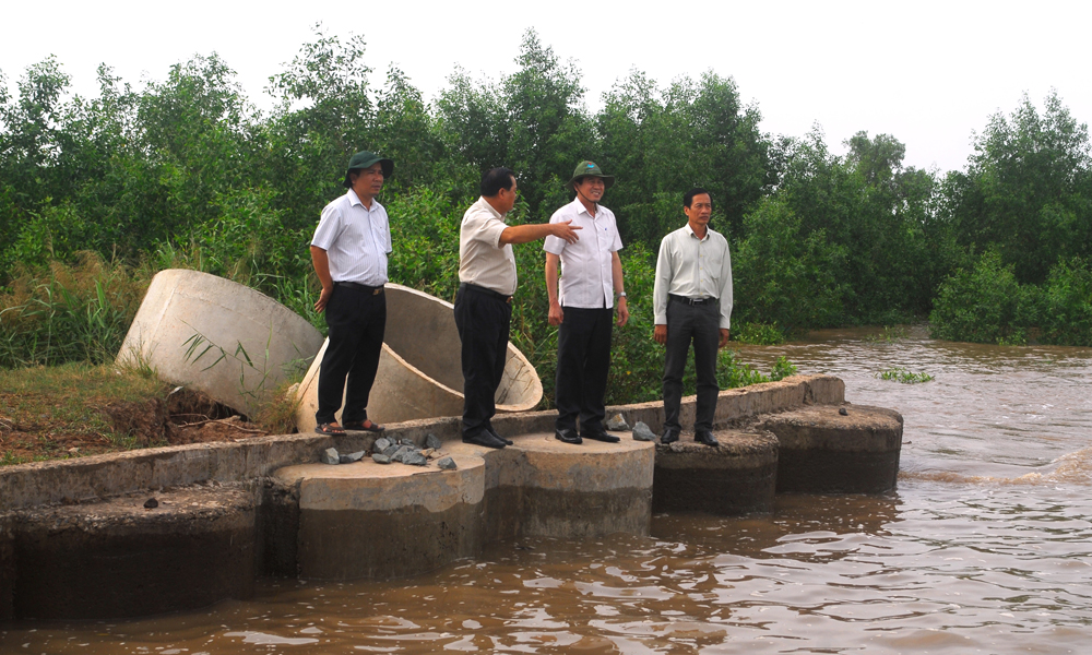 Đoàn công tác kiểm tra chặt chẽ công tác ứng phó với cơn bão số 9 của huyện Tân Phú Đông.