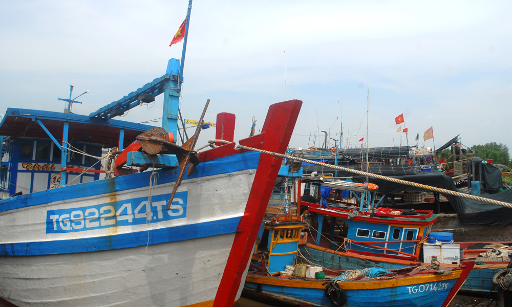 Nhiều tàu thuyền ở huyện Gò Công Đông đã vào nơi tránh trú bão.