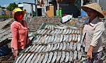 Giải quyết vấn đề môi trường cho Làng nghề cá khô Vàm Láng