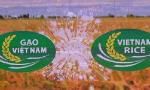Vietnamese rice gets official brand name