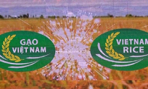The logo of Vietnam's national rice brand
