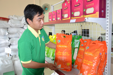 Một số sản phẩm gạo an toàn của Co6ngt y Lương thực Tiền Giang.