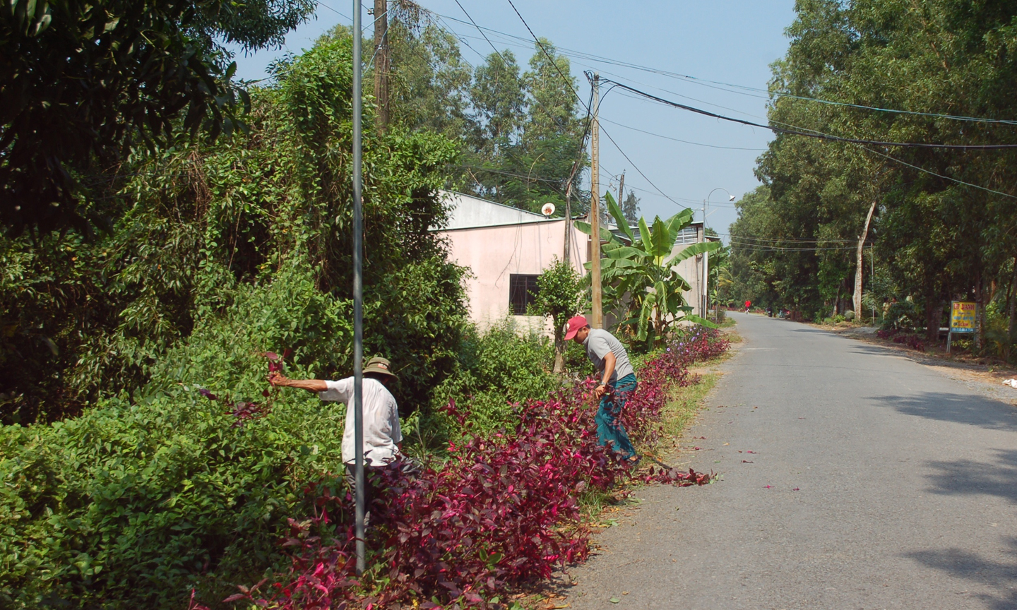 Người dân ấp 6 đang trồng hoa dọc theo lề đường.