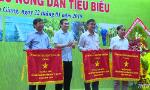Tien Giang province aims at building a model of large-scale intensive farming
