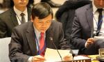 Vietnam joins call for UNSC's action to deal with climate change