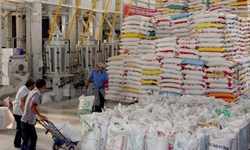 Rice meant for export in the Mekong Delta (Photo: VNA)