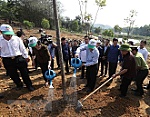 Tổng Bí thư, Chủ tịch nước phát động Tết trồng cây Xuân Kỷ Hợi 2019