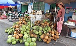 Vào mùa nắng nóng: Dừa tươi, cam sành tăng giá