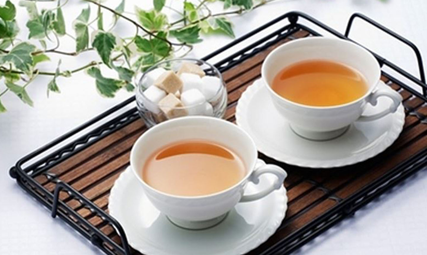  Kết hợp trà với các vị thuốc còn có tác dụng phòng và chữa bệnh rất hiệu quả