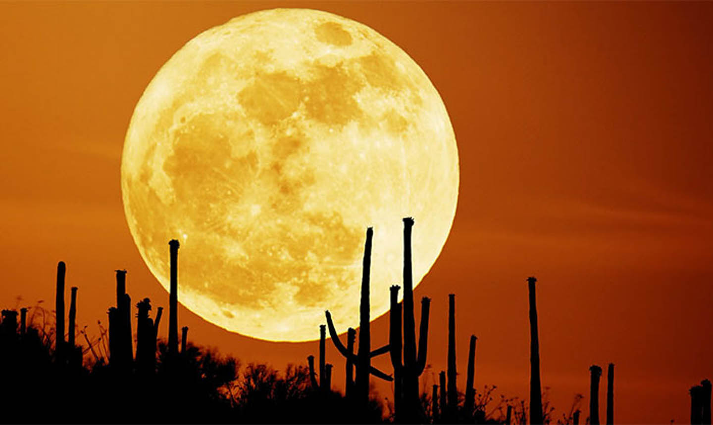 Mặt Trăng sẽ đạt cực đại vào lúc 22h53 phút (giờ Việt Nam).
