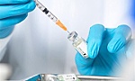 Sắp bào chế thành công vaccine dịch tả lợn Châu Phi