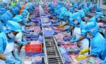 Vietnam world's fourth biggest seafood exporter