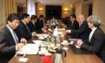 Vietnam-Germany strategic partnership enters new development period: minister