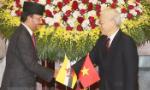 Vietnam, Brunei upgrade ties to comprehensive partnership