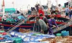 Marine economy makes up 10% of Vietnam's GDP