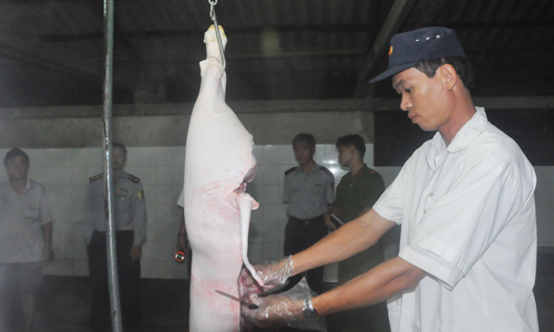 Một cơ sở giết mổ heo được cán bộ thú y kiểm tra thịt trước khi đưa ra thị trường.