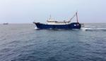 Kiểm ngư Việt Nam đẩy đuổi hai tàu cá treo cờ Trung Quốc
