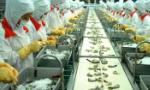 31 Vietnamese shrimp exporters free from US antidumping duties