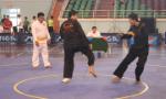 36 clubs participates in the national Pencak Silat club championship 2019