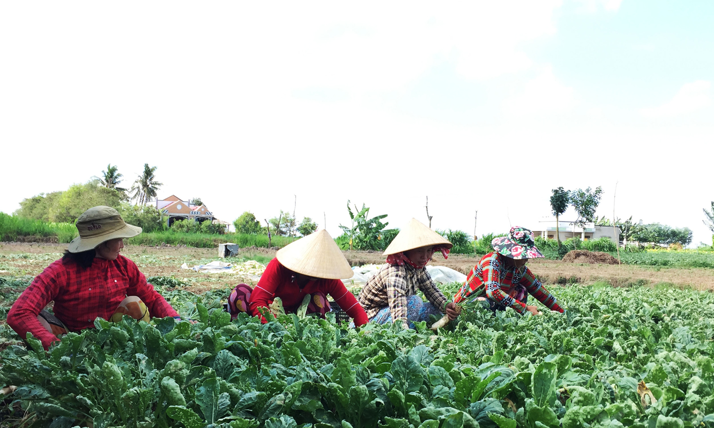 Đẩy mạnh chuyển đổi cây trồng phù hợp theo từng vùng