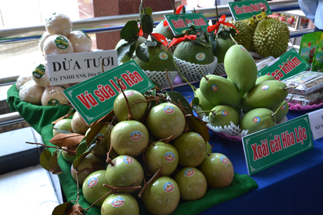 Một số trái cây đặc sản của Tiền Giang.
