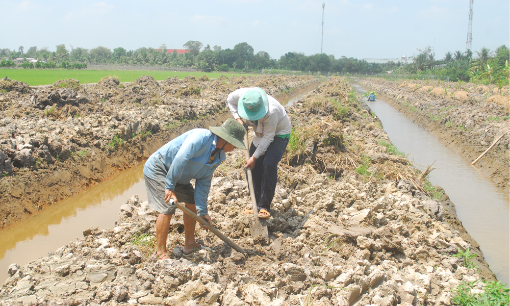 Một hộ dân ở xã Hậu Mỹ Trinh đang lên liếp từ đất ruộng để chuyển sang trồng sầu riêng và mít.