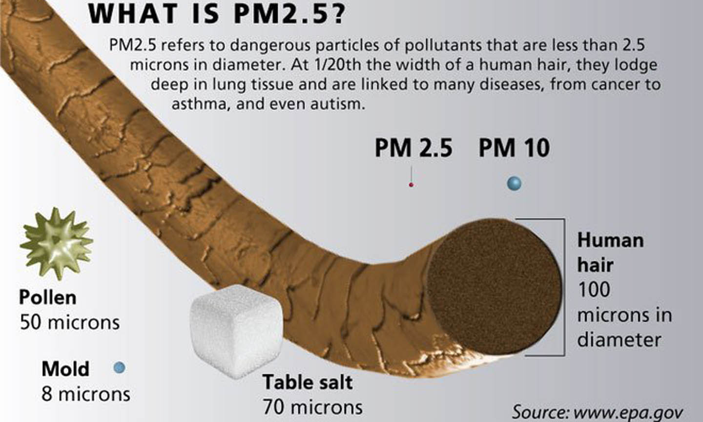 Ảnh phóng to cho thấy kích thuớc của bụi PM10 và PM2,5 nhỏ hơn bề mặt sợi tóc hàng chục lần. Đây là lí do khiến loại bụi này trở nên nguy hiểm, vì có thể lọt qua các loại vải thông thường, đi thẳng vào phổi.