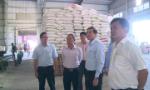 Chairman of the PPC enquires the production and business activities of enterprises
