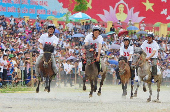 Festival 'Vó ngựa cao nguyên trắng Bắc Hà'