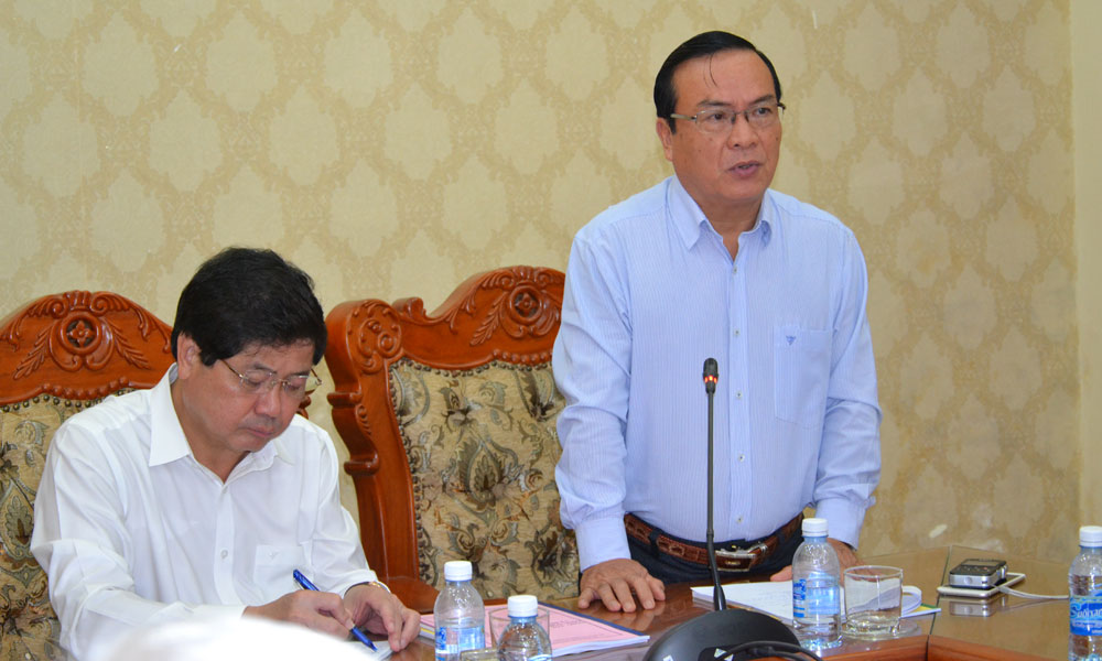 Phó Chủ tịch UBND tỉnh Phạm Anh Tuấn phát biểu tại buổi làm việc.