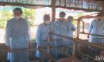 Leaders of the PPC inspect the prevention and control the African swine fever