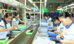 345 newly-established enterprises in first six months