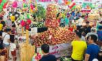 Programme launched to promote Binh Thuan dragon fruits