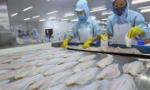 Vietnamese tra fish exports to Malaysia rise sharply
