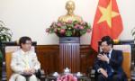 Deputy PM delighted at growing Vietnam – Japan ties