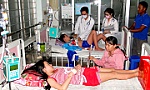 Dengue fever cases in Tien Giang province climb to 2,400