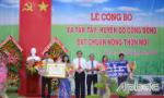 Tien Giang province has more three new rural communes