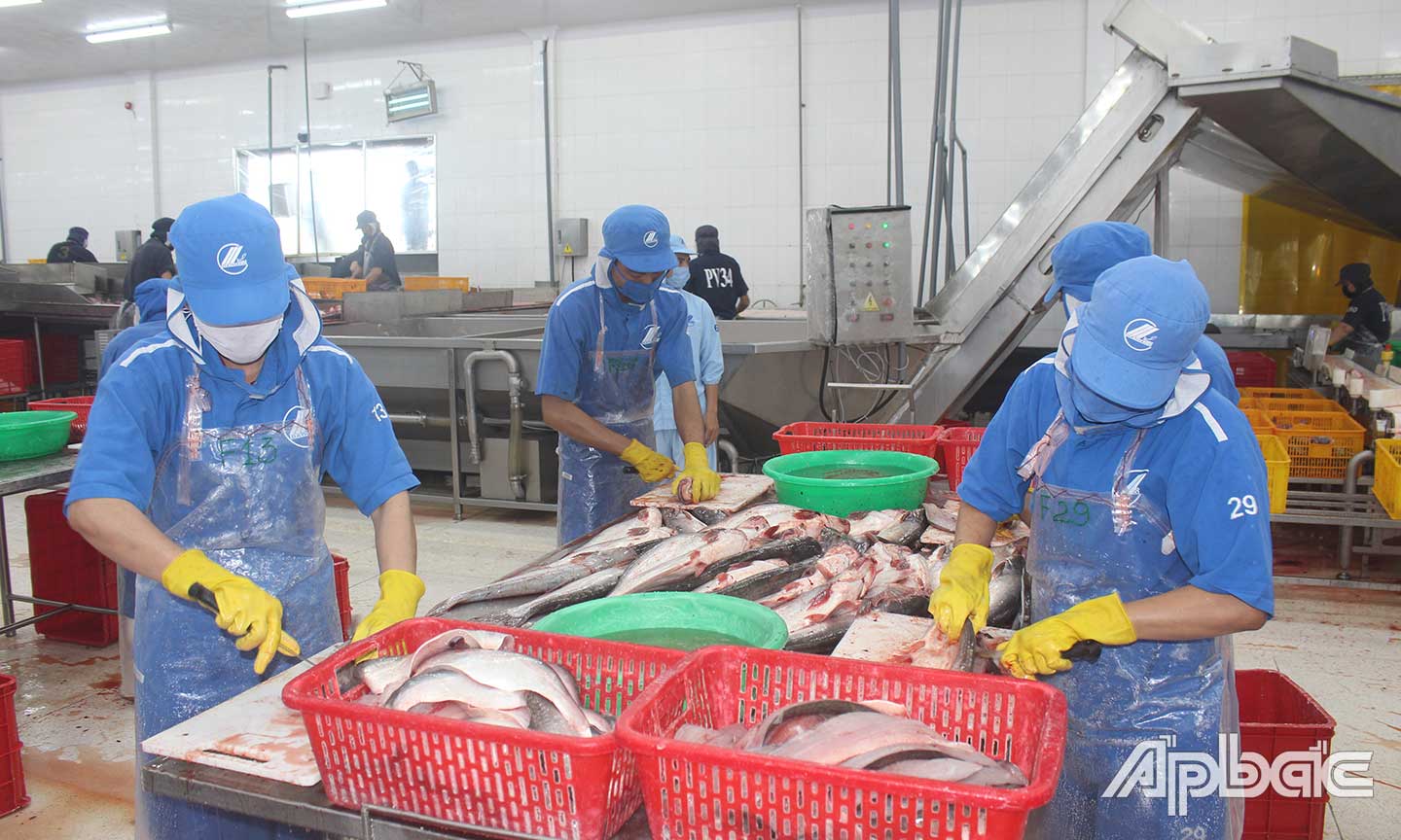 Thúc đẩy hộ kinh doanh chuyển đổi lên doanh nghiệp