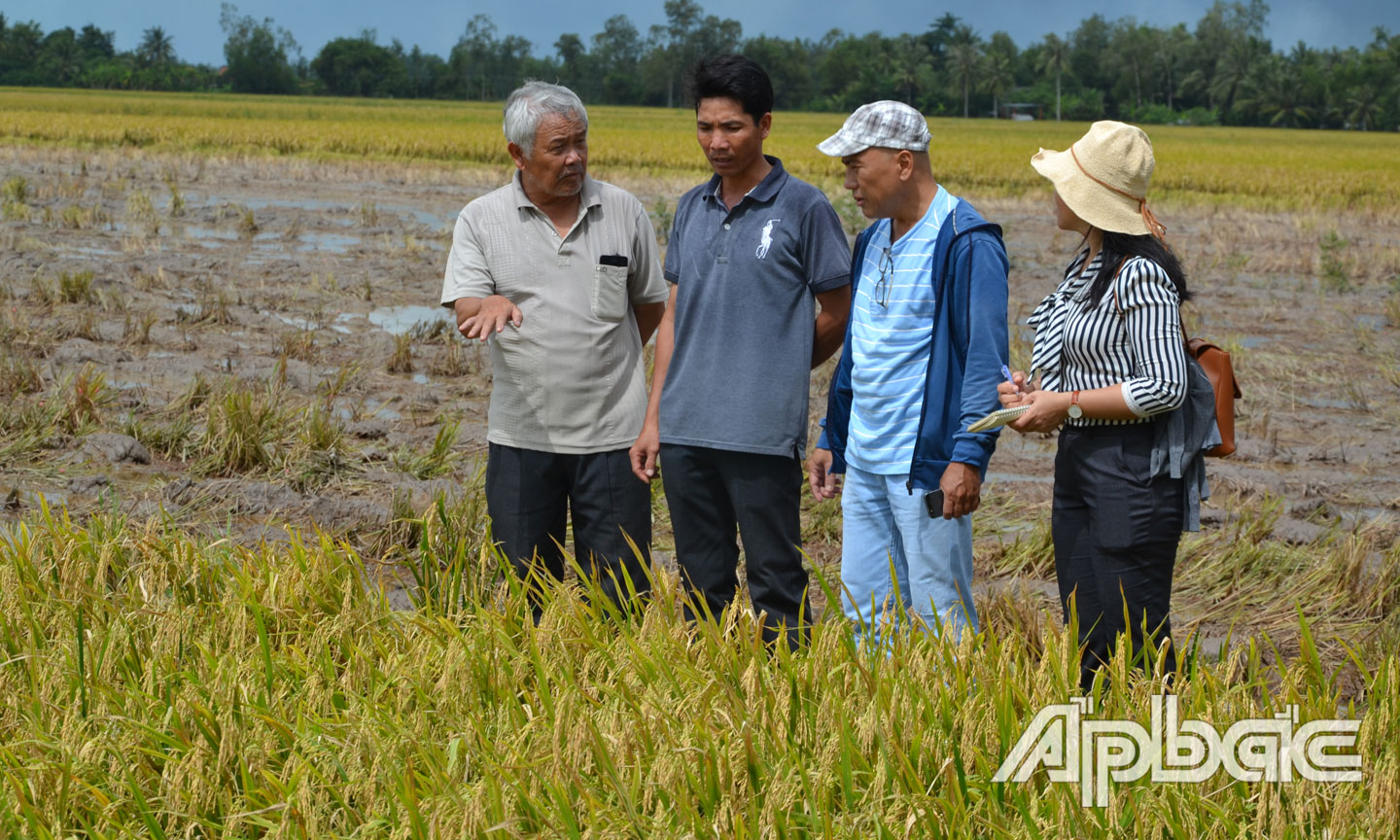Các học viên đi thực địa tại vùng canh tác lúa tưới ngập khô xen kẽ ở tỉnh Bạc Liêu.