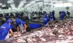 Tra fish companies see stock prices plummet