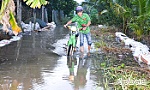 Tiền Giang: Triều cường gây ngập đường, nhà dân và vườn cây ăn trái