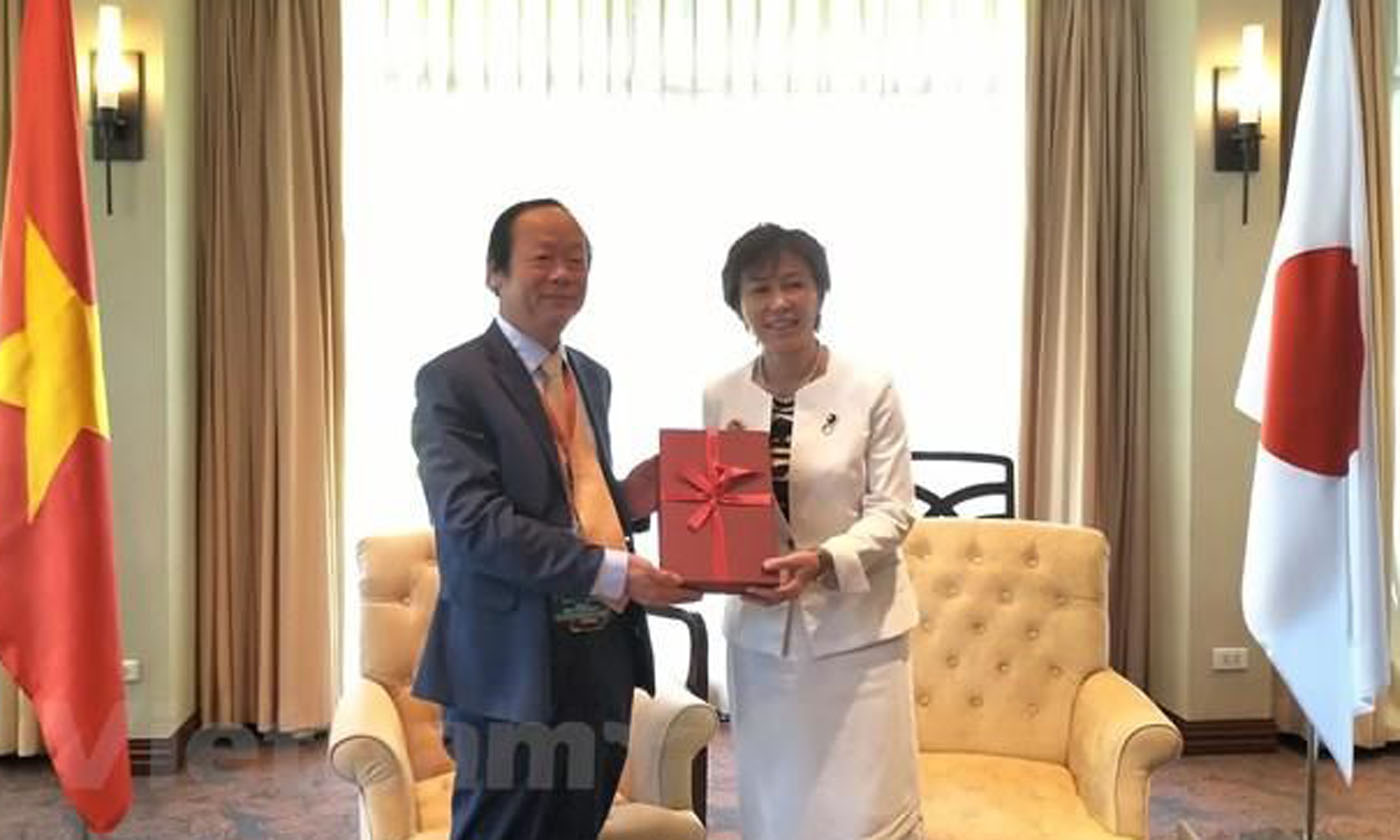   Vietnam calls for Japanese support in waste treatment hinh anh 1Vietnamese Deputy Minister of Natural Resources and Environment Vo Tuan Nhan and Japan’s state minister of the environment Yukari Sato. (Photo: VNA)
