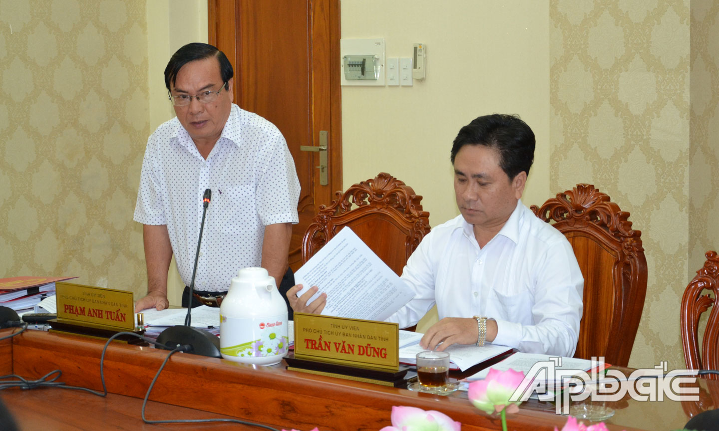 Phó Chủ tịch UBND tỉnh Phạm Anh Tuấn phát biểu tại phiên họp.