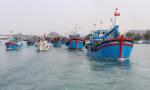 Vietnam sees chance for IUU yellow card to be rescinded