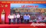 Song Binh commune recognized as new rural area