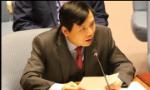 Vietnam ready for UN Security Council's non-permanent membership