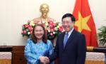 Deputy PM Pham Binh Minh receives Malaysian ambassador
