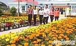 Huyện Tân Phước tổ chức nhiều hoạt động mừng Đảng - mừng Xuân